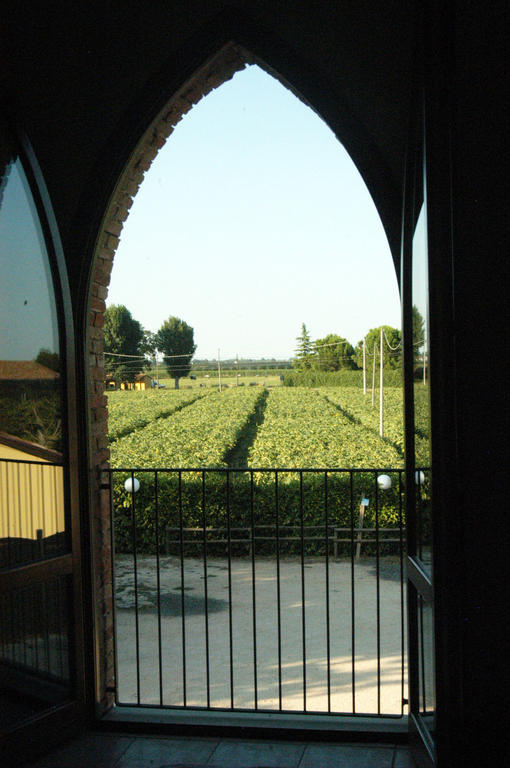 Locanda Merlaschio Faenza Zimmer foto